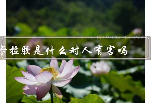 卡拉胶是什么对人有害吗