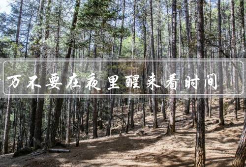 千万不要在夜里醒来看时间