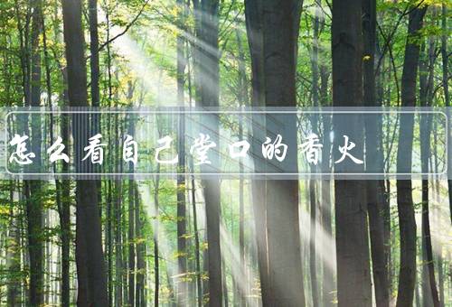 怎么看自己堂口的香火