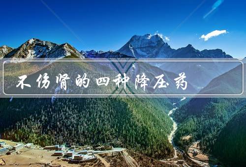 不伤肾的四种降压药