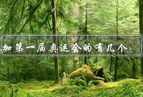 参加第一届奥运会的有几个