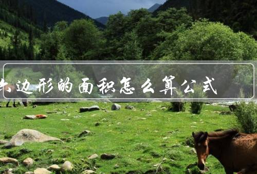 六边形的面积怎么算公式