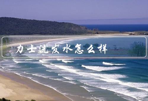力士洗发水怎么样