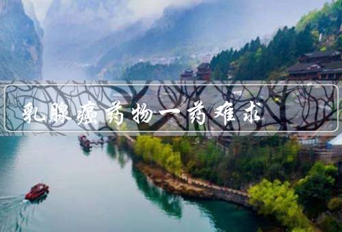 乳腺癌药物一药难求