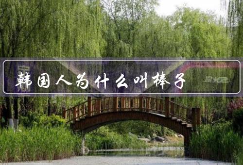 韩国人为什么叫棒子