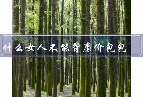 为什么女人不能背廉价包包