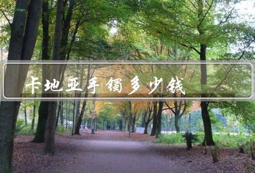 卡地亚手镯多少钱，Juste un Clou系列／Love系列