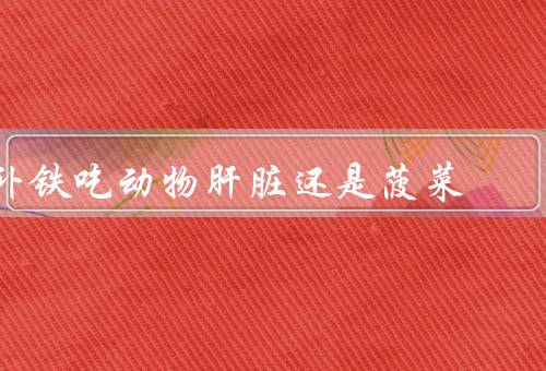 补铁吃动物肝脏还是菠菜