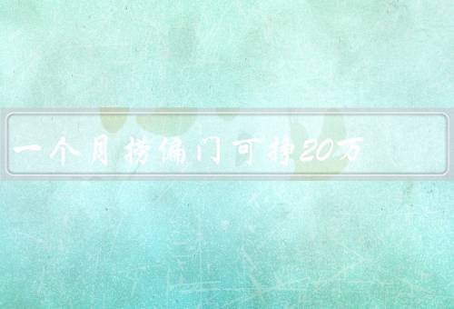 一个月捞偏门可挣20万