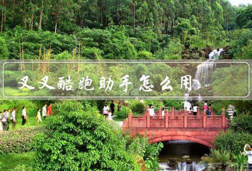 叉叉酷跑助手怎么用