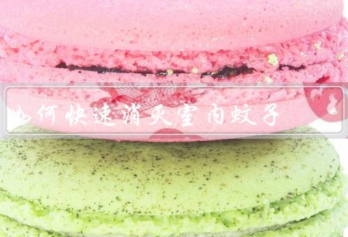 如何快速消灭室内蚊子