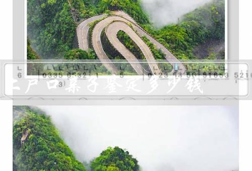 上户口亲子鉴定多少钱