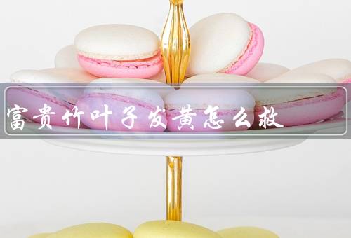 富贵竹叶子发黄怎么救