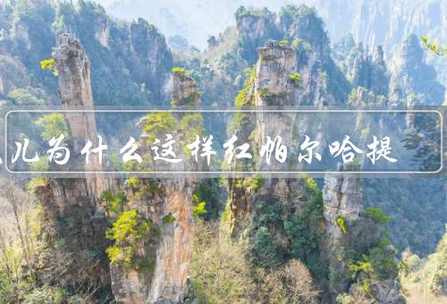 花儿为什么这样红帕尔哈提