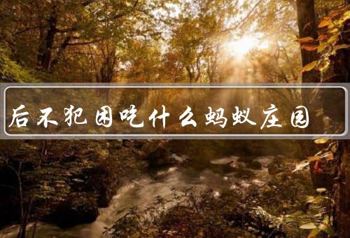 午后不犯困吃什么蚂蚁庄园