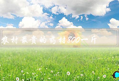 农村最贵的药材800一斤