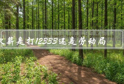 欠薪是打12333还是劳动局