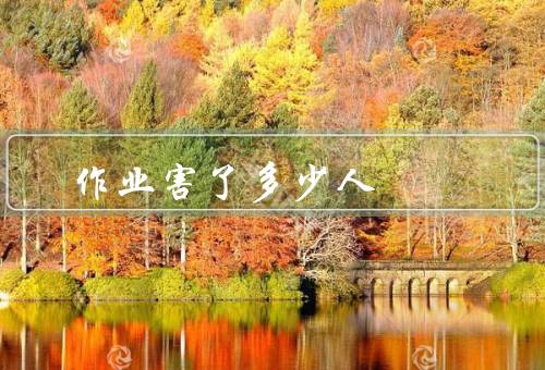 作业害了多少人