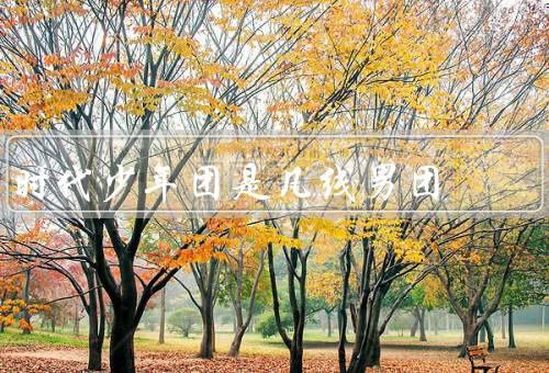 时代少年团是几线男团