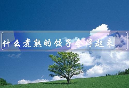 为什么煮熟的饺子会浮起来