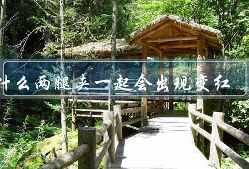 为什么两腿夹一起会出现变红
