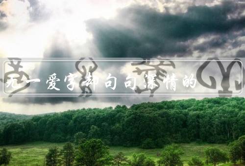 无一爱字却句句深情的