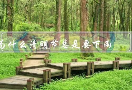 为什么清明节总是要下雨