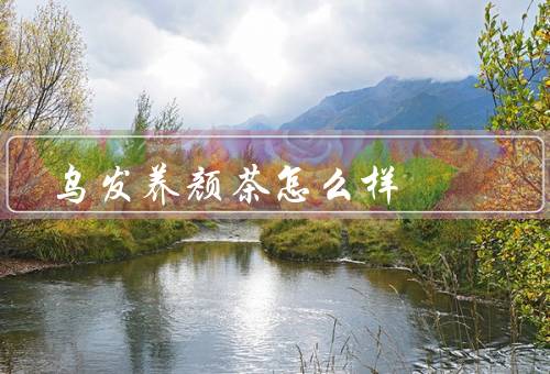 乌发养颜茶怎么样