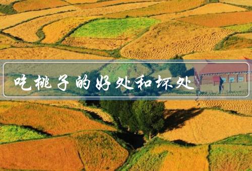 吃桃子的好处和坏处