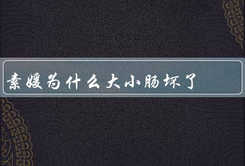 素媛为什么大小肠坏了
