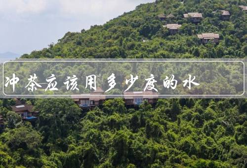 冲茶应该用多少度的水