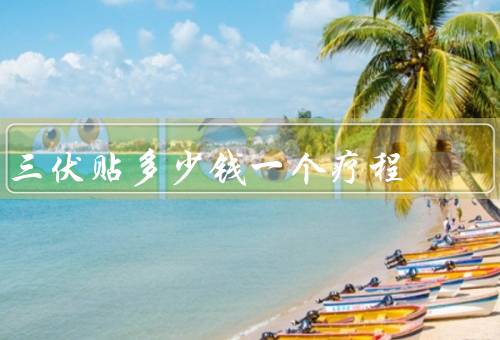 三伏贴多少钱一个疗程