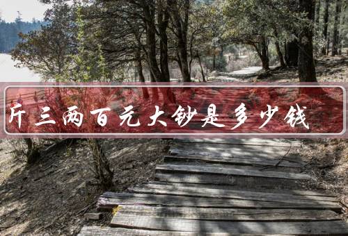 三斤三两百元大钞是多少钱