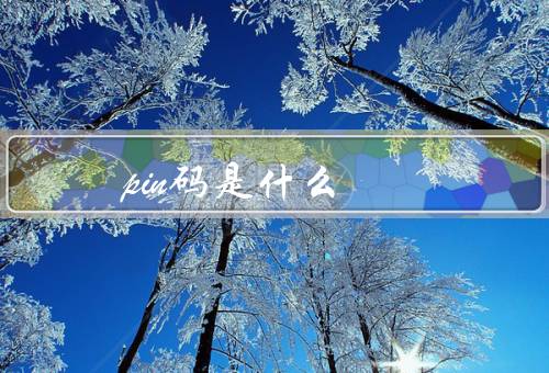 pin码是什么