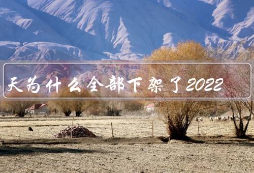海天为什么全部下架了2022
