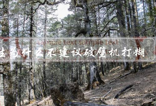 医生为什么不建议破壁机打糊