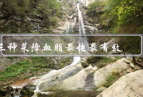 三种菜降血脂最快最有效