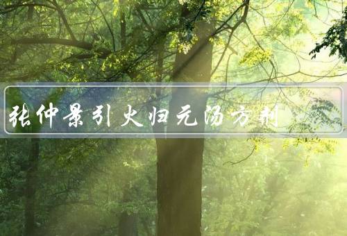 张仲景引火归元汤方剂