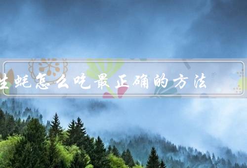 生蚝怎么吃最正确的方法