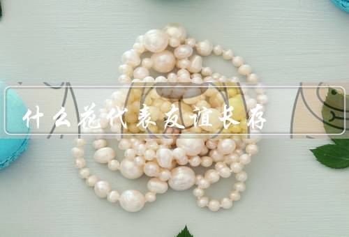 什么花代表友谊长存