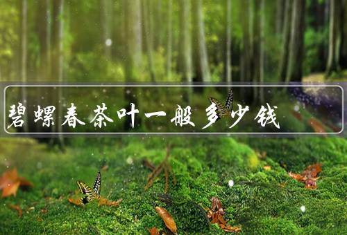 碧螺春茶叶一般多少钱