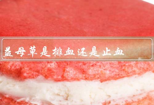 益母草是排血还是止血