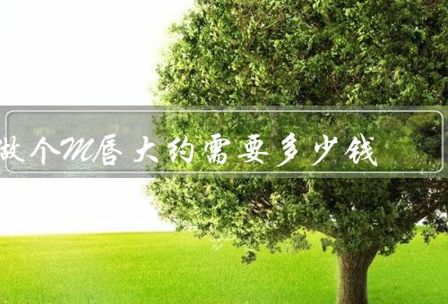 做个M唇大约需要多少钱