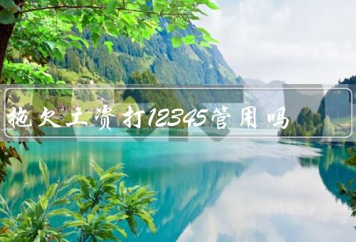 拖欠工资打12345管用吗