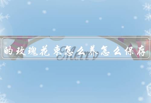 收到的玫瑰花束怎么养怎么保存