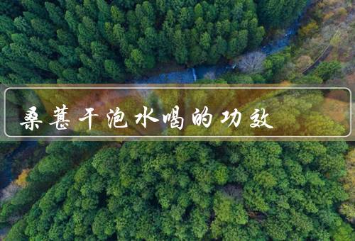 桑葚干泡水喝的功效