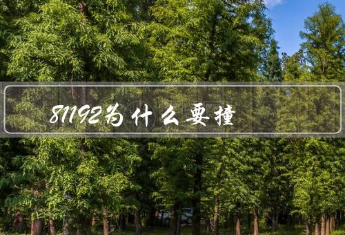 81192为什么要撞
