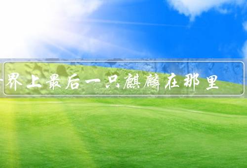 世界上最后一只麒麟在那里