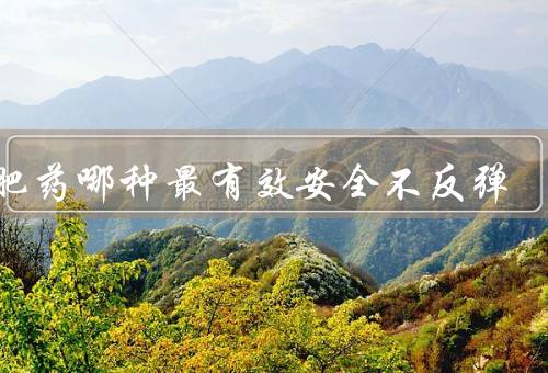 减肥药哪种最有效安全不反弹