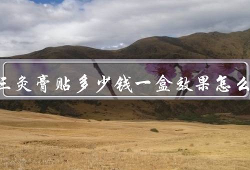 少林十三灸膏贴多少钱一盒效果怎么样，是148元／主要是缓解腰部疼痛优质